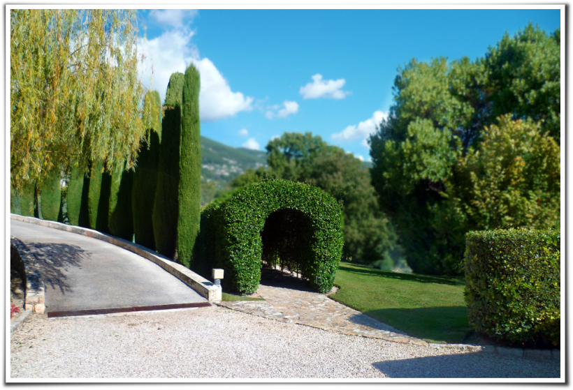 P1000028 flous autos contrastes bordure web